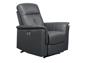 Bristow Collection - Power Glider Recliner - Dark Grey Leather